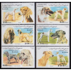 1996 Sahara Local 6v Dogs
