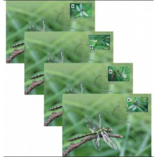 2010 Belarus Maximum card Fauna WWF Green Snaketail Dragonfly