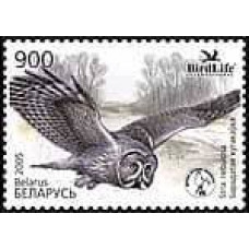 2005 Belarus Mi# 582 Fauna Birds Owls