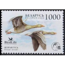 2009 Belarus Mi.762 Birds 1,00 €