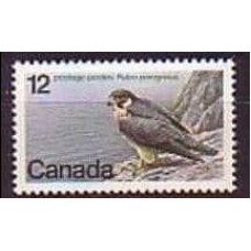 1978 Canada Mi.680 Endangered wildlife 0.60 €