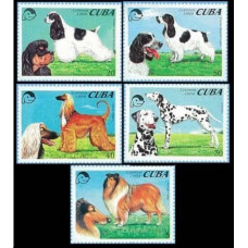 1994 Cuba Mi.3771-3775 Dogs 4,20 €