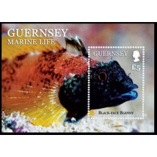 2013 Guernsey Mi.1415/B63 Sea fauna 12,50 €