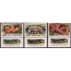 1986 Israel Michel 1027-1029 RED SEA CORALS 4.00 €