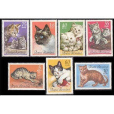 1965 Rumania Mi.2387-2394 Cats 9,00 €